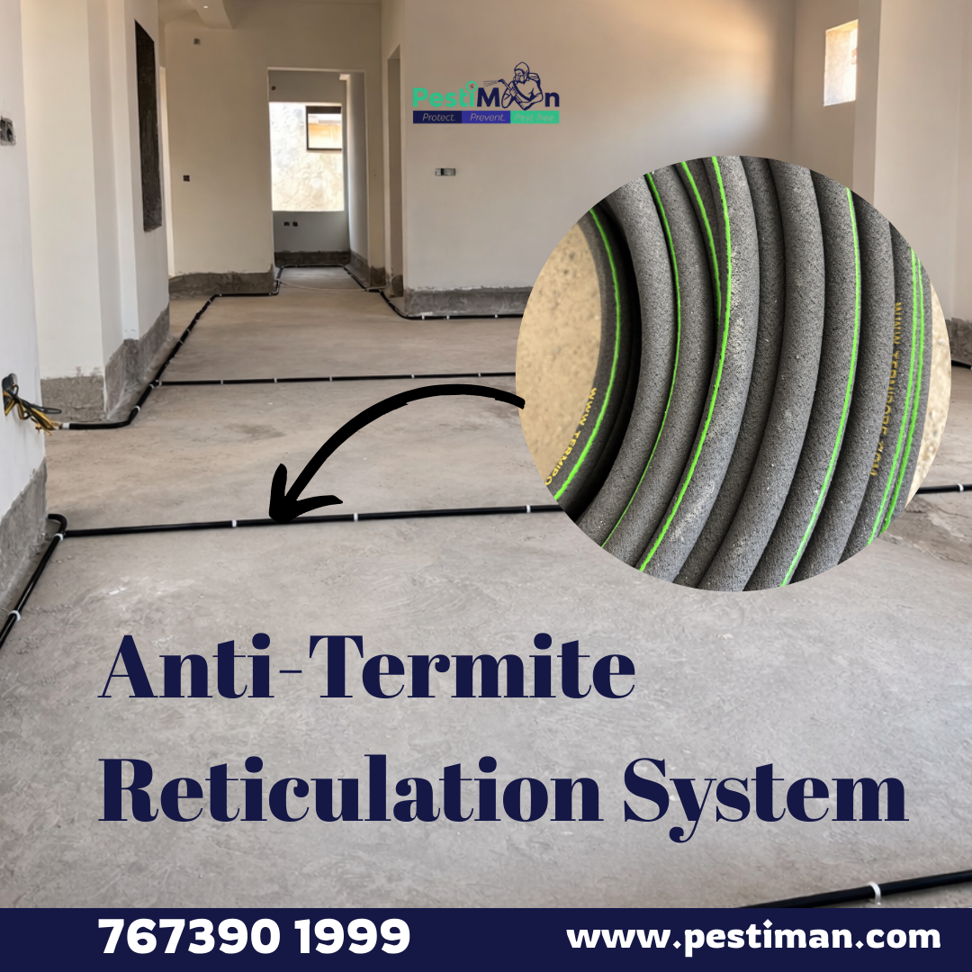 Completed termite protection